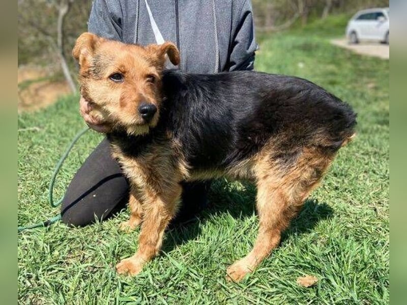 MILLI , wer zeigt ihr wie schön das Leben sein kann.?