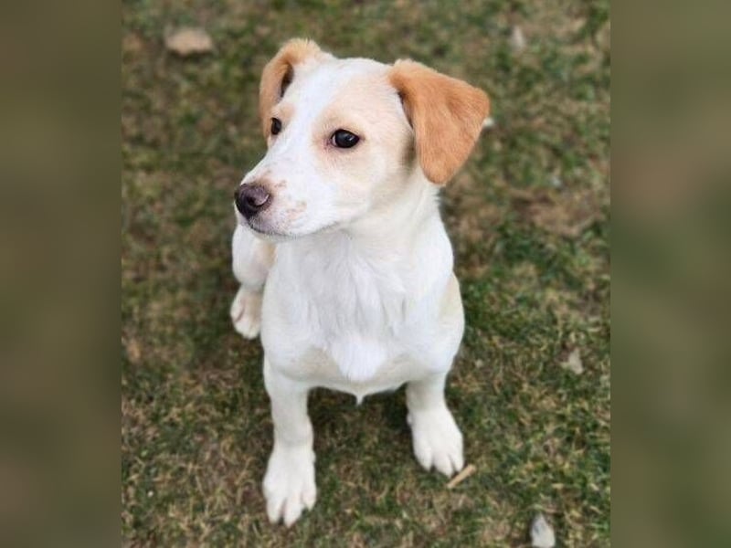 ANMARIE hofft so sehr auf ein Zuhause