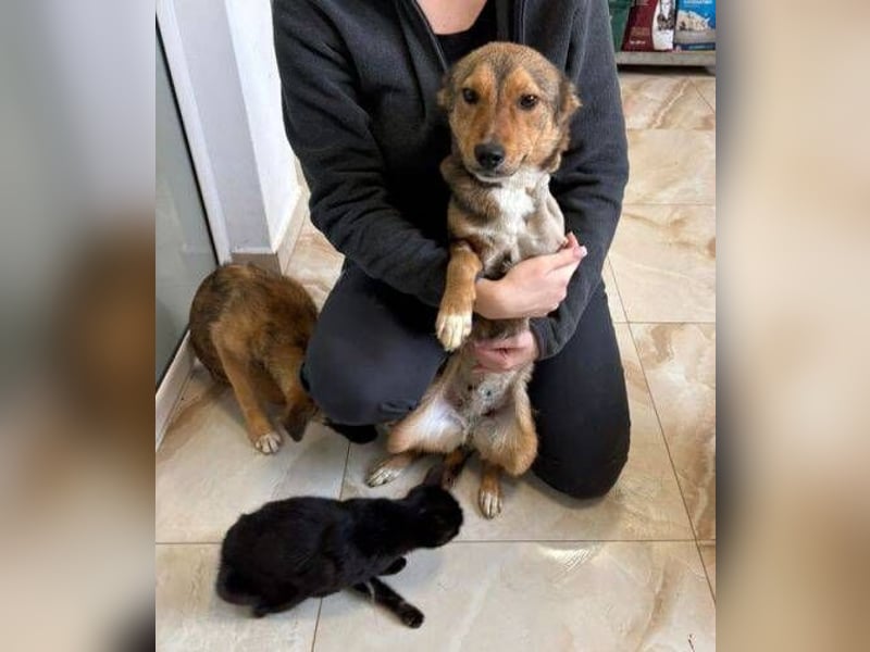 SADY ist einfach bezaubernd