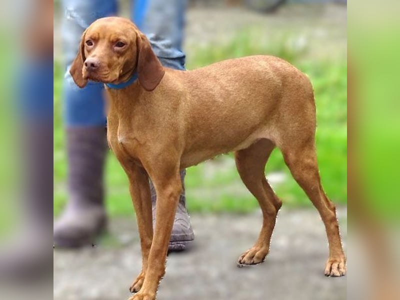 KERRY zittert um ihr Leben