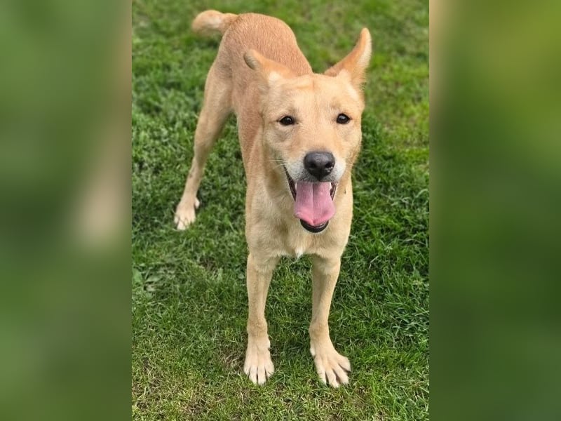 BONI ist sehr liebevoll