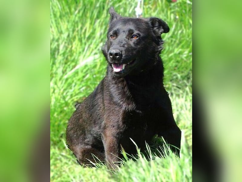 KLARA -wer ist ihr Retter in der Not?