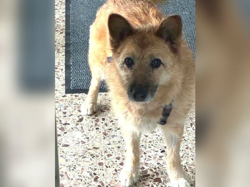 ELZA 2 ist super nett und freundlich