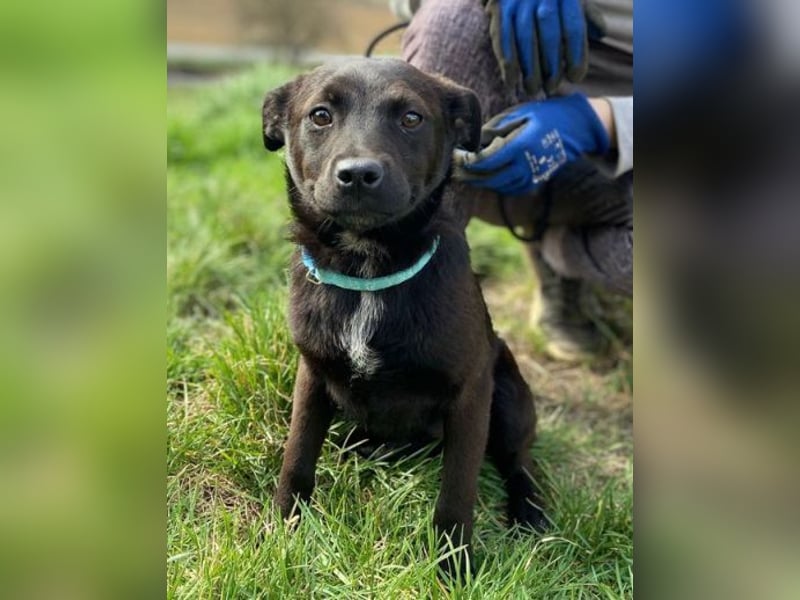 ZARA - wer zeigt ihr die Sonnenseite des Lebens?