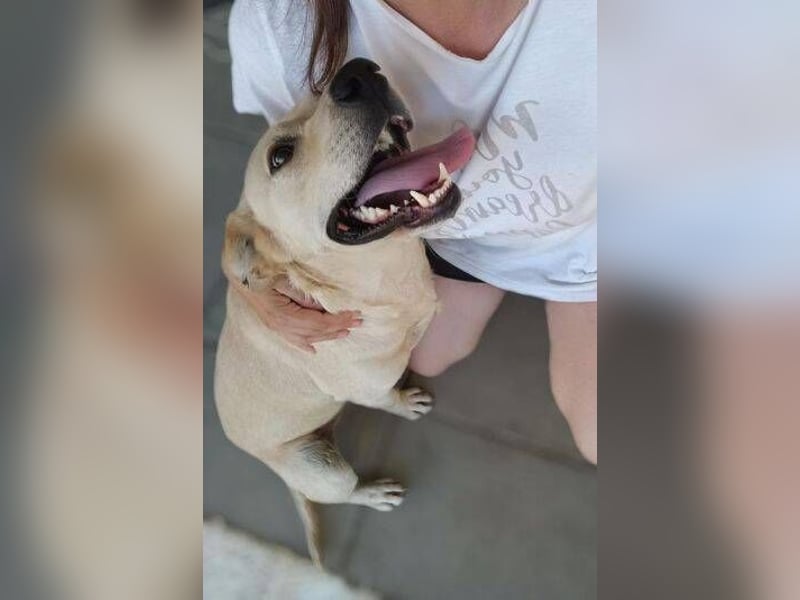 REXI ist ein Goldschatz REXI ist ein Goldschatz