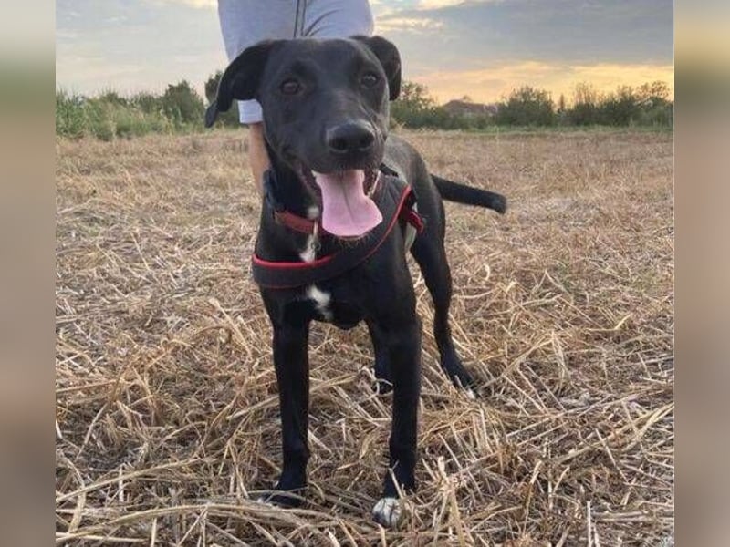 ELLA ist ganz zauberhaft