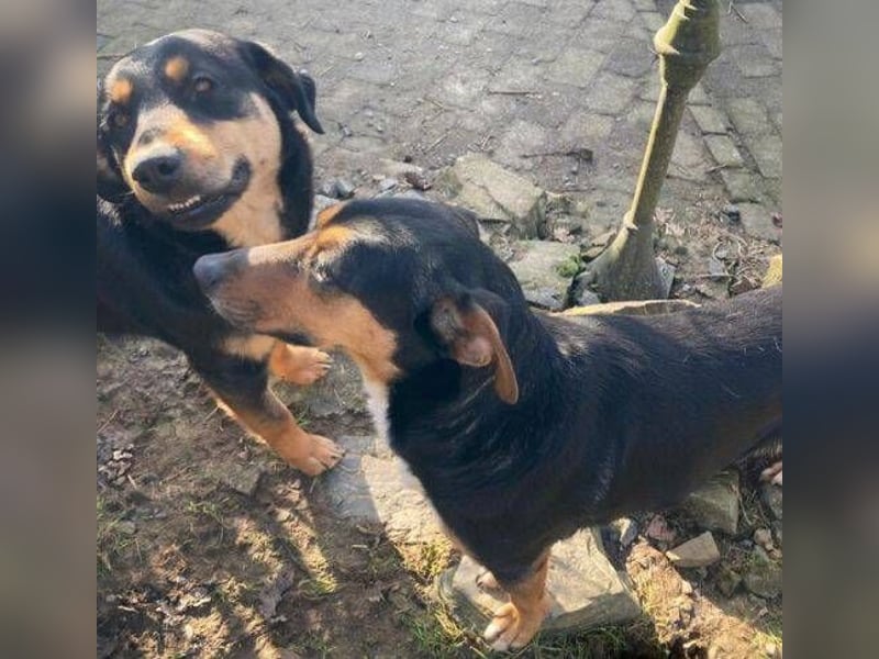 LENKA ist eine ganz sanft Seele