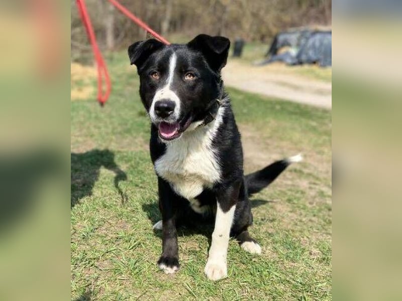 MANY wer tröstet ihn?