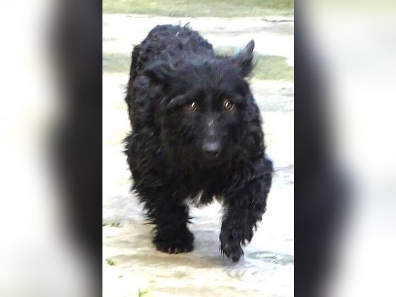 BEBA hofft auf Lebensretter