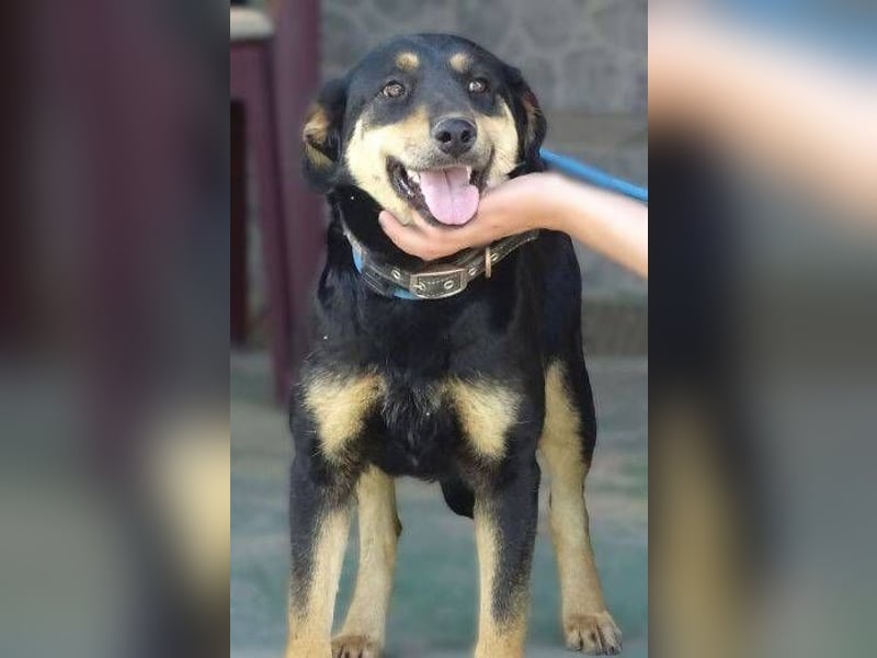 LENKA ist eine ganz sanft Seele