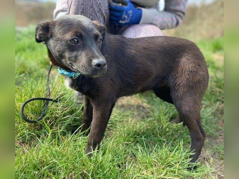 ZARA - wer zeigt ihr die Sonnenseite des Lebens?