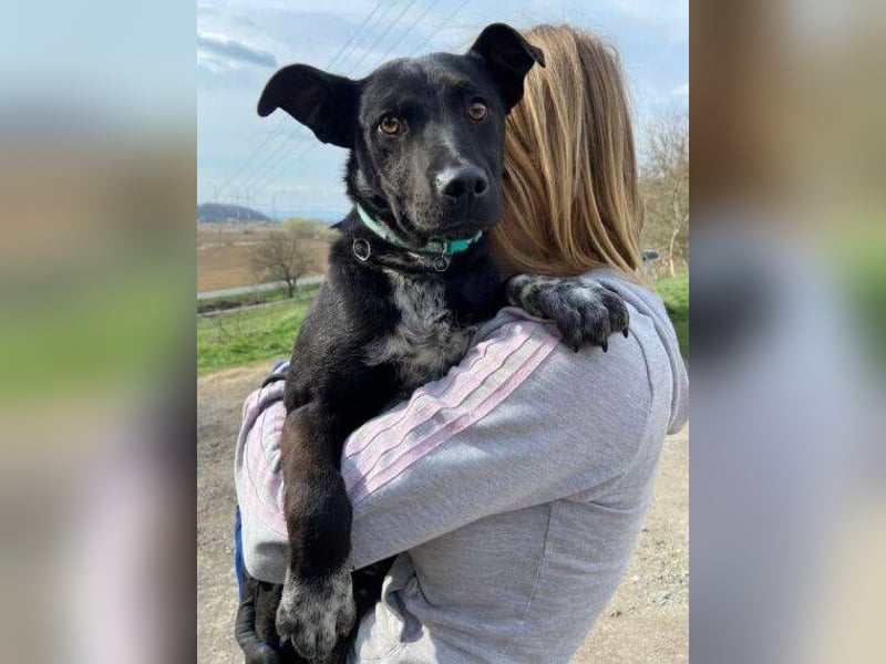 LUCKY 2 sucht sein Glück