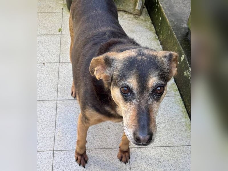 DALIA soll dort nicht sterben