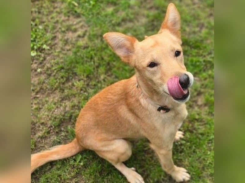 BONI ist sehr liebevoll