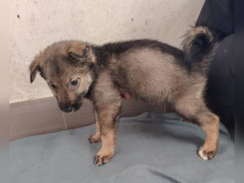 DUNJA das Baby wurde einfach zurück gelassen