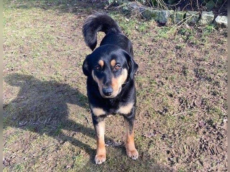 LENKA ist eine ganz sanft Seele