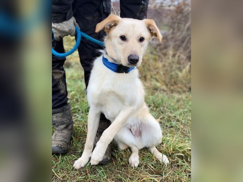 DARO wurde eiskalt ausgesetzt