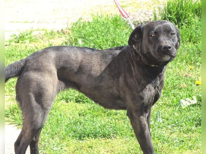 NIKA - Wer gibt ihr die Hoffnung zurück?