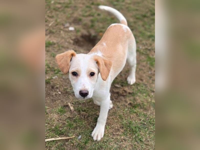 ANMARIE hofft so sehr auf ein Zuhause