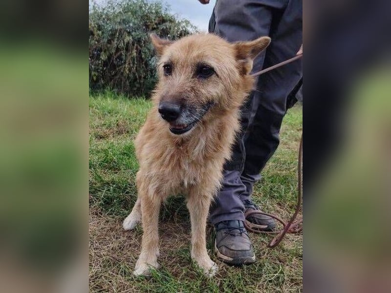 ELZA 2 ist super nett und freundlich