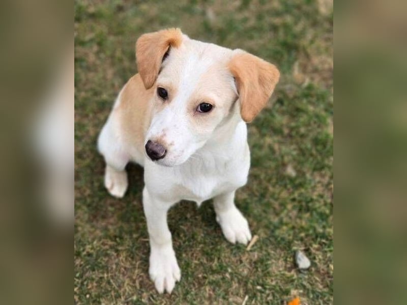 ANMARIE hofft so sehr auf ein Zuhause