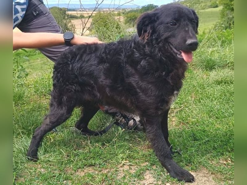 ALVARO war einsam und verlassen