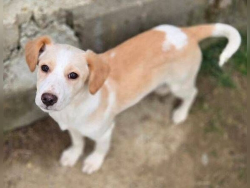 ANMARIE hofft so sehr auf ein Zuhause