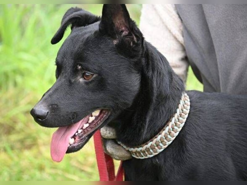 OLI braucht eine eigene Familie