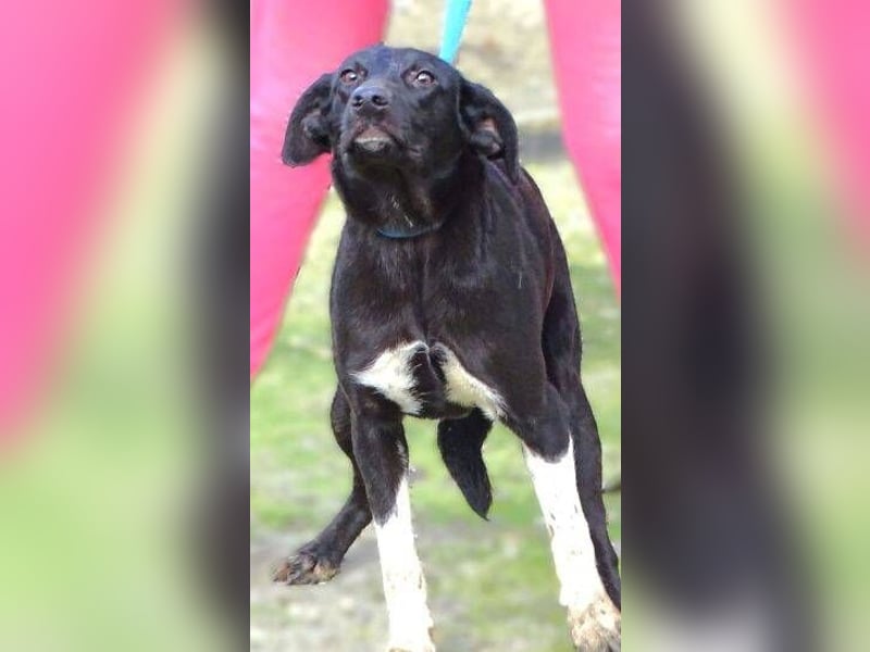 LULU wäre so gerne Teil einer Familie