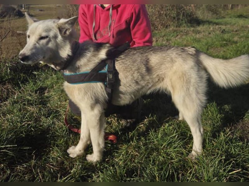 ADRIENA ist verspielt und freundlich