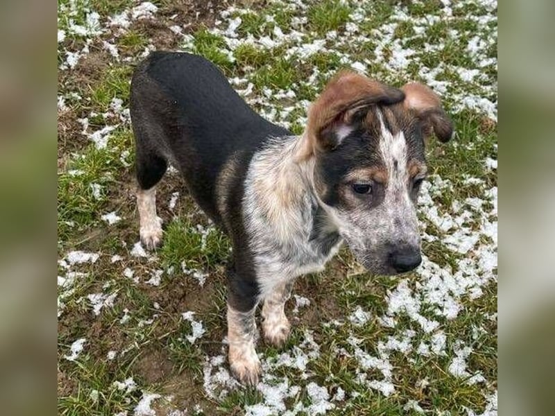 DENY wurde verlassen gefunden