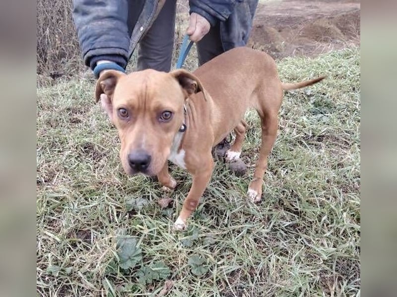 MAYA 2 musste an der Kette hängen