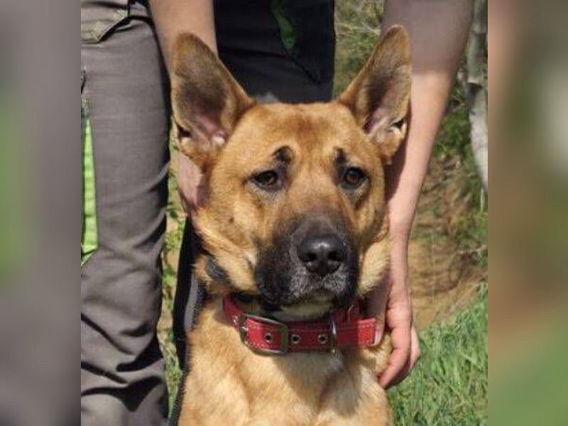 TOM 2 ist auf der Suche nach dem großen Glück