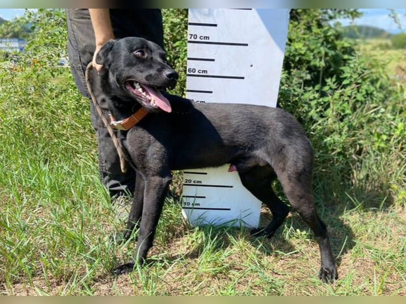 OLI braucht eine eigene Familie