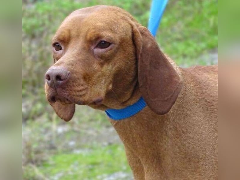 KERRY zittert um ihr Leben