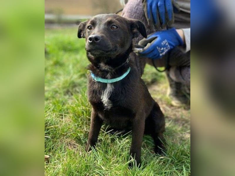 ZARA - wer zeigt ihr die Sonnenseite des Lebens?