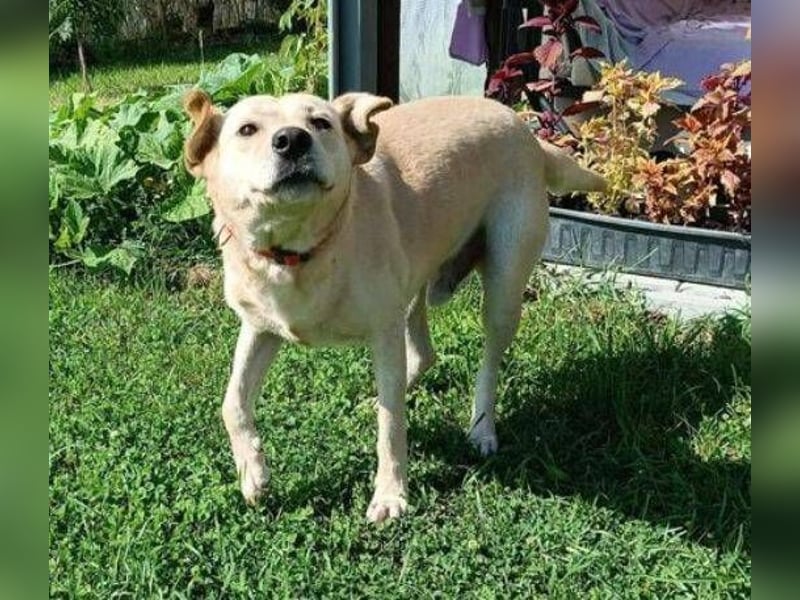 REXI ist ein Goldschatz REXI ist ein Goldschatz