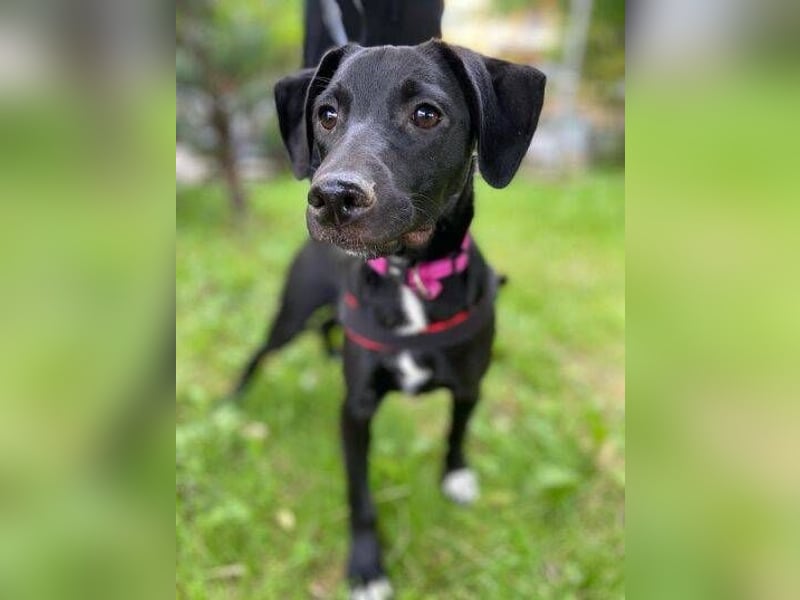 ELLA ist ganz zauberhaft