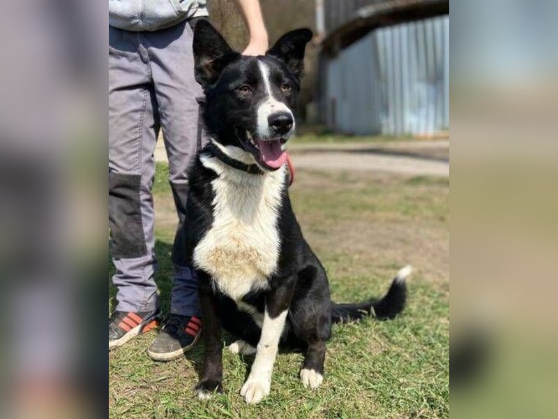 MANY wer tröstet ihn?