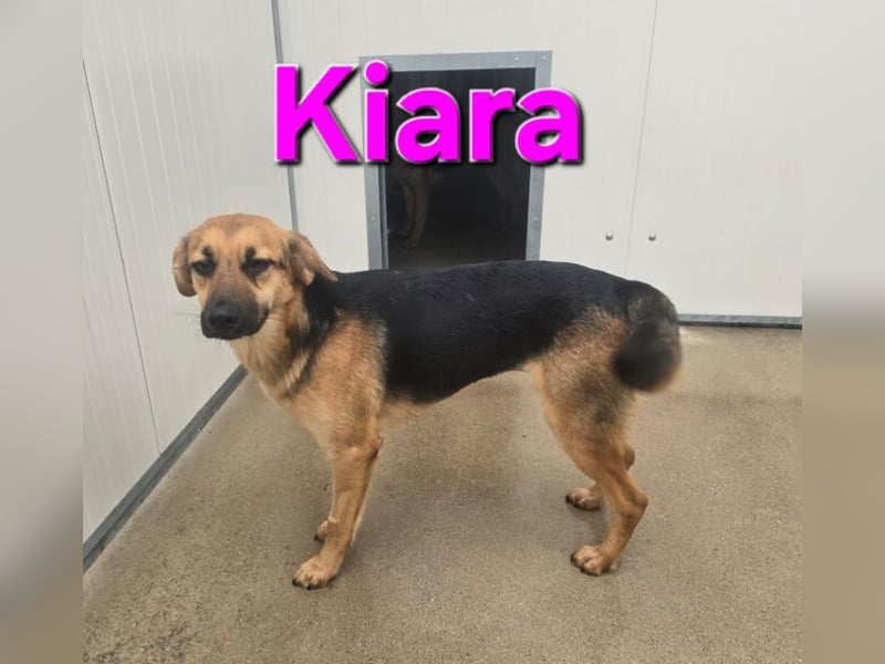 KIARA zittert um ihr junges Leben