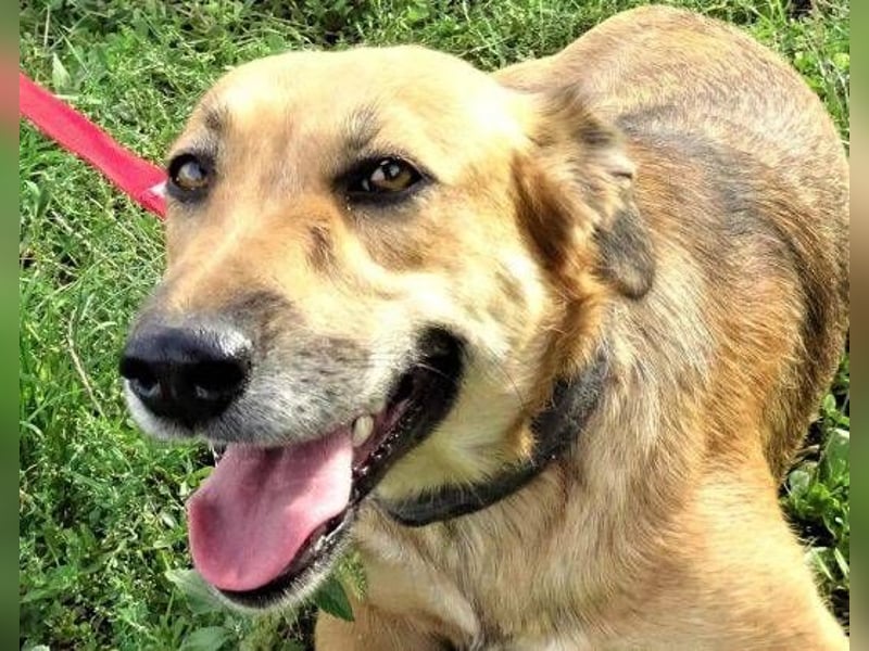 STELLA 2 ist sehr verschmust