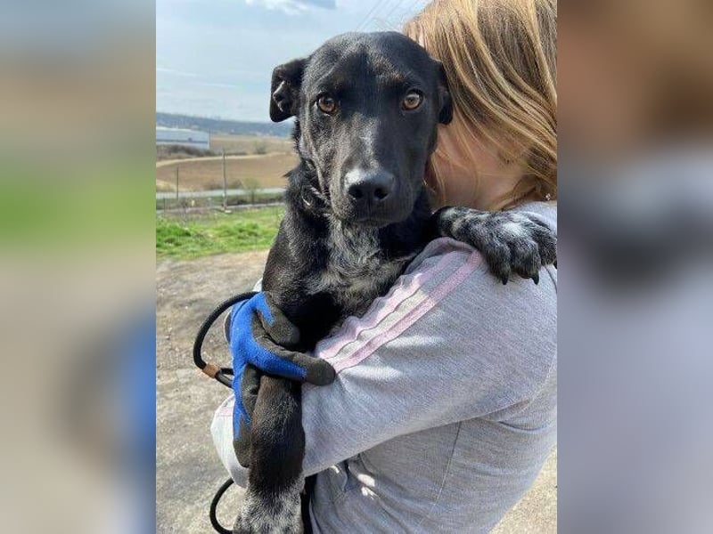 LUCKY 2 sucht sein Glück