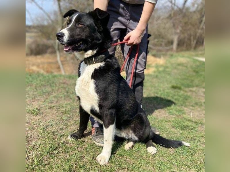 MANY wer tröstet ihn?