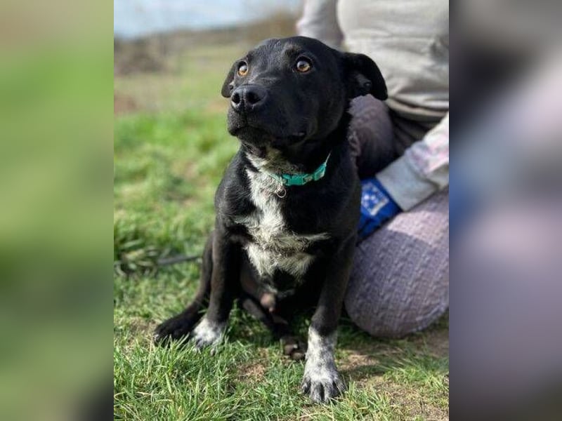 HAPPY  wurde eiskalt ausgesetzt