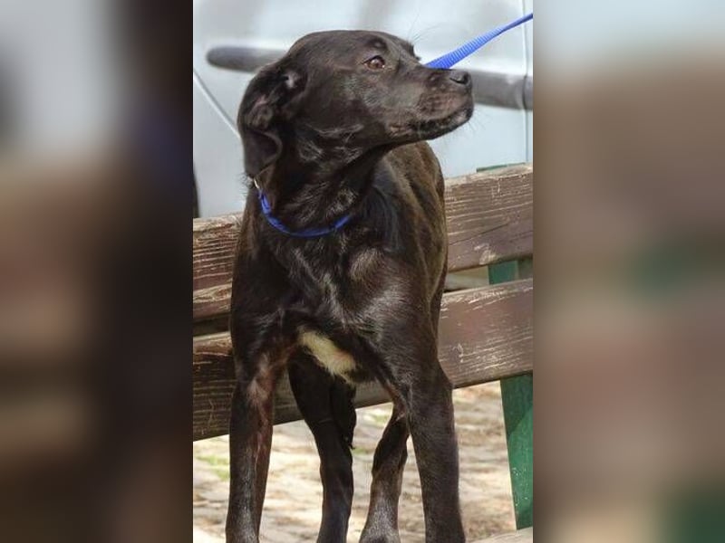 ARTHUR ist sehr lieb