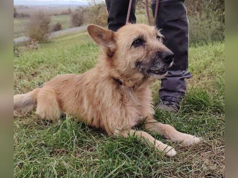 ELZA 2 ist super nett und freundlich