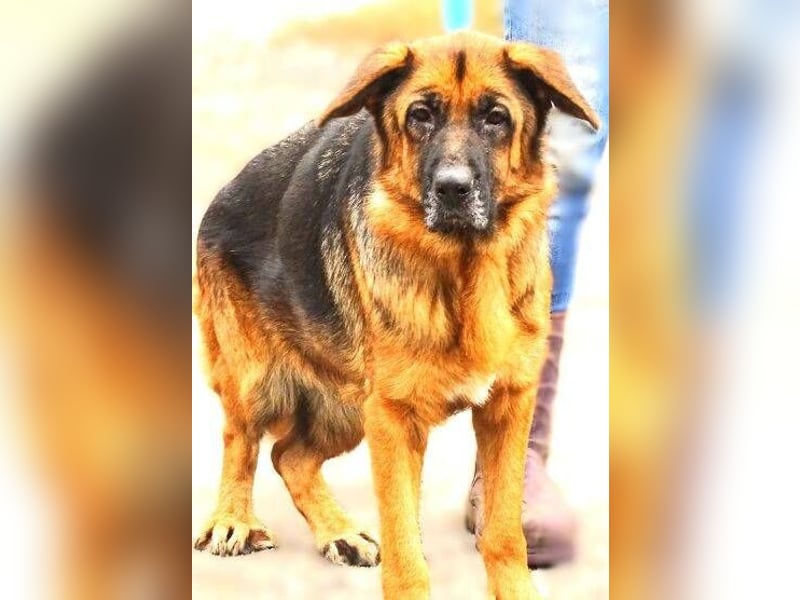 MARINA ist einfach wunderbar