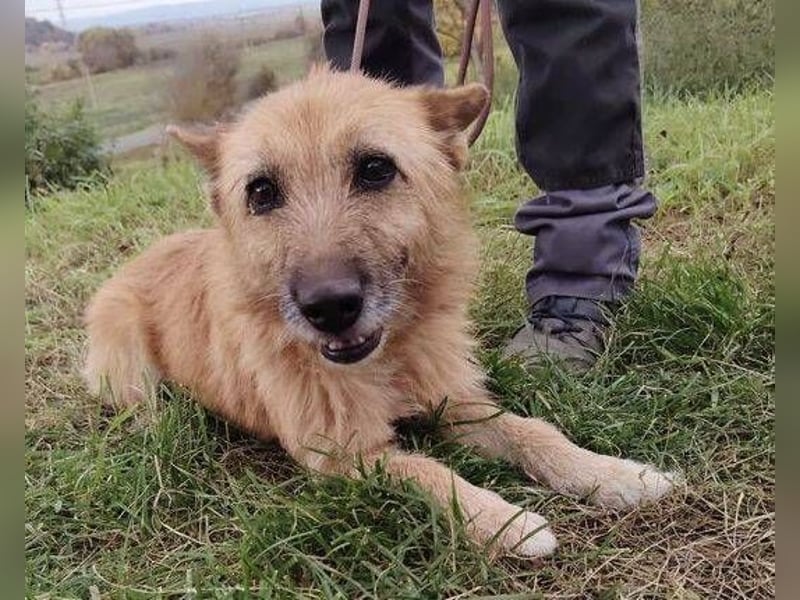 ELZA 2 ist super nett und freundlich