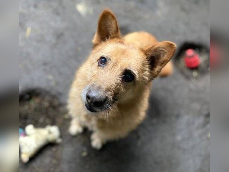 ELZA 2 ist super nett und freundlich