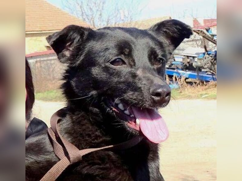 SUZIE sehnt sich so nach Liebe